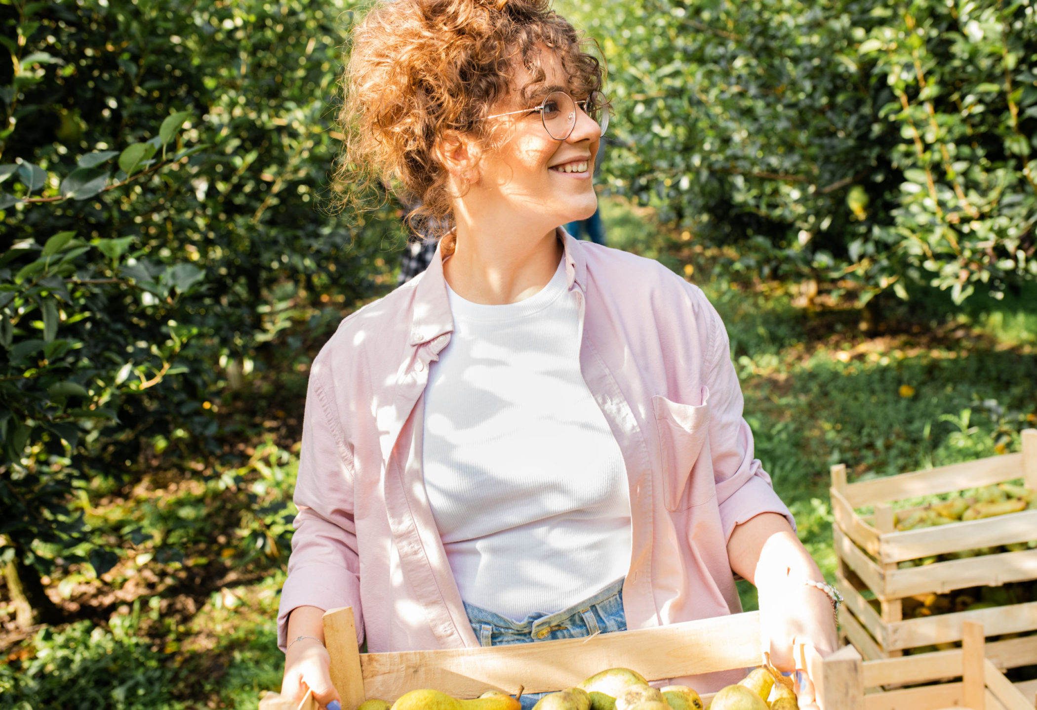 AIUTO nella raccolta delle VECCHIE VARIETÀ di PERE