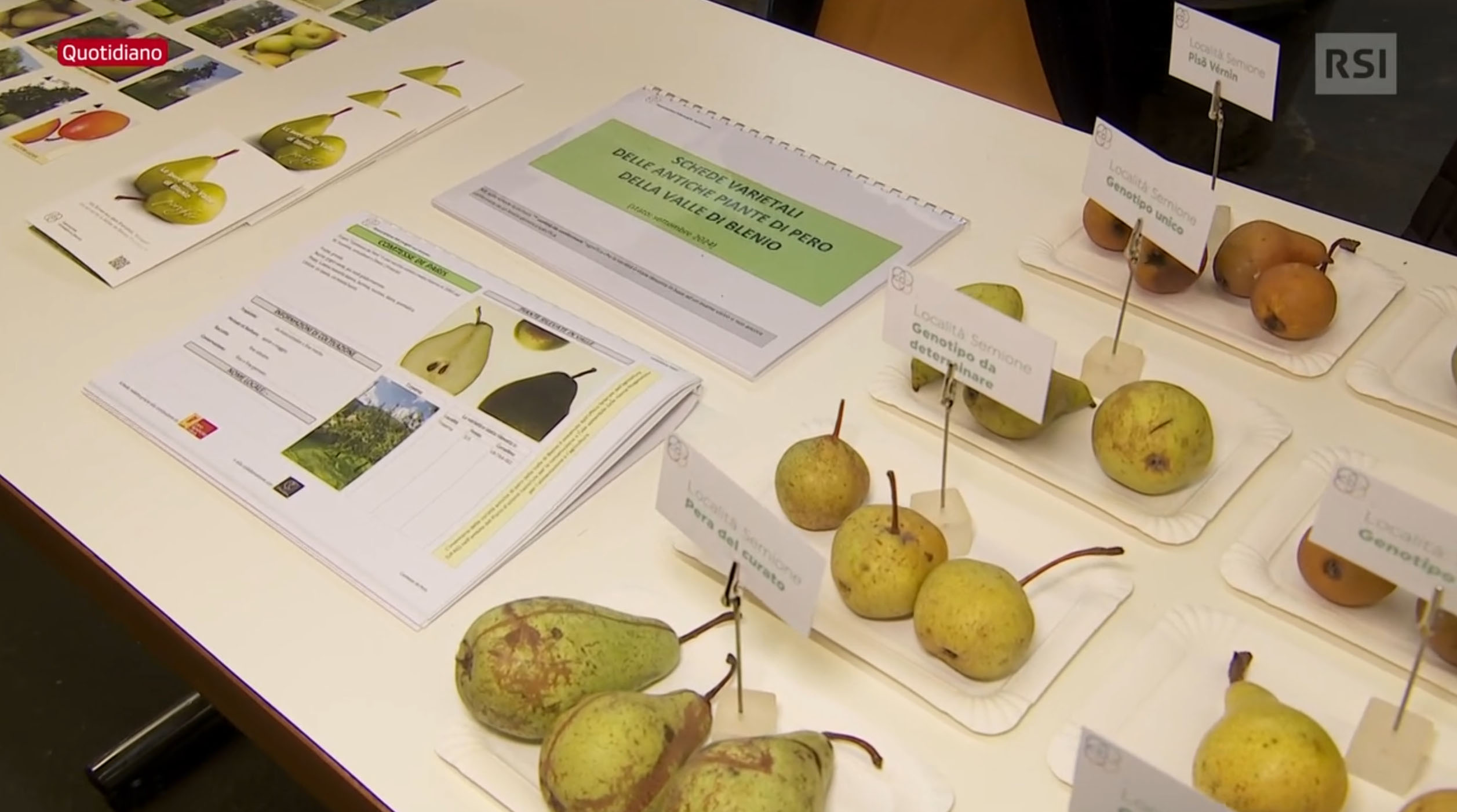 RSI  video servizio su “Fruttiamo”